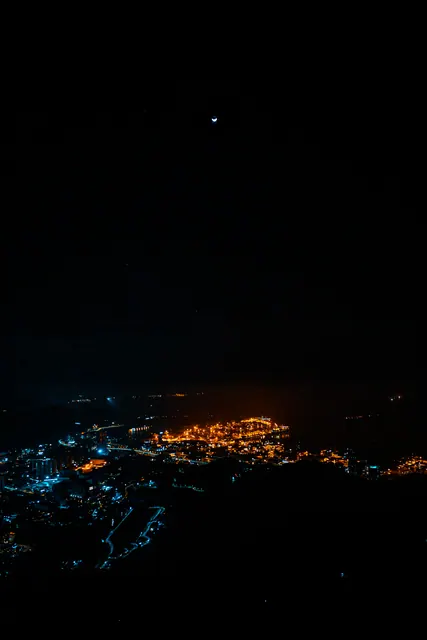 夜爬梧桐 2