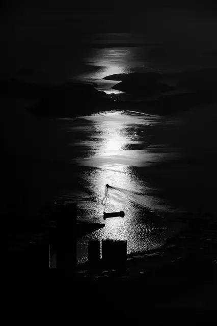 夜爬梧桐 6