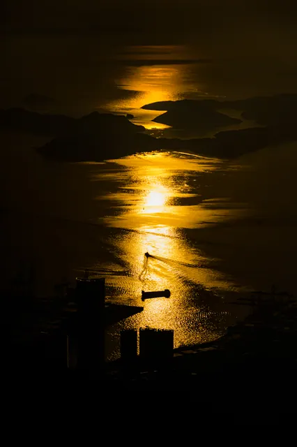 夜爬梧桐 7