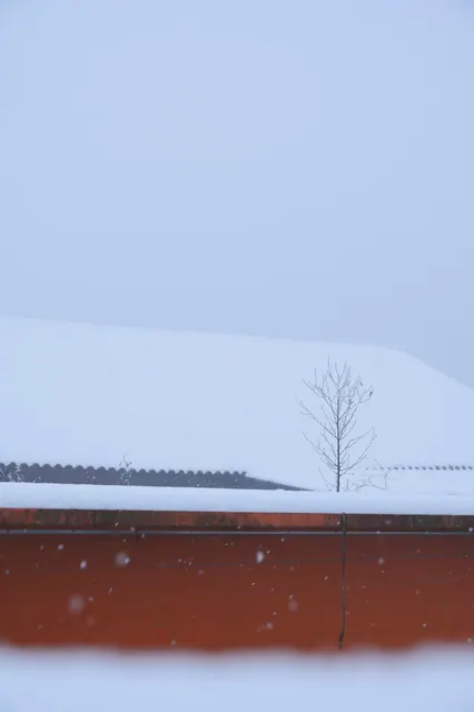 罗家拍雪 1