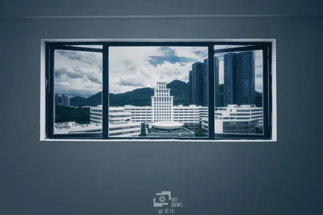 小梧桐杜鹃与云海 1