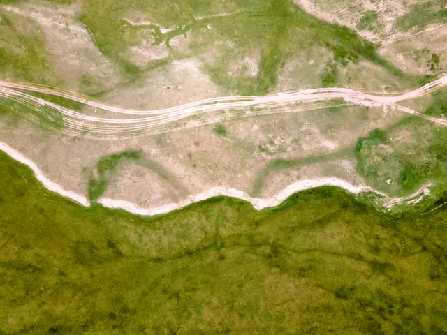 巴音布鲁克 4