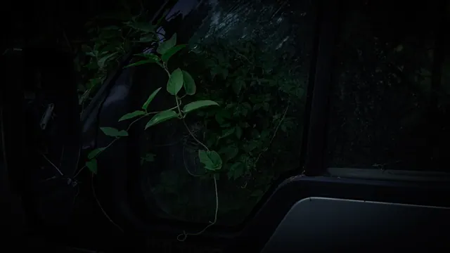 上水废弃轿车 3