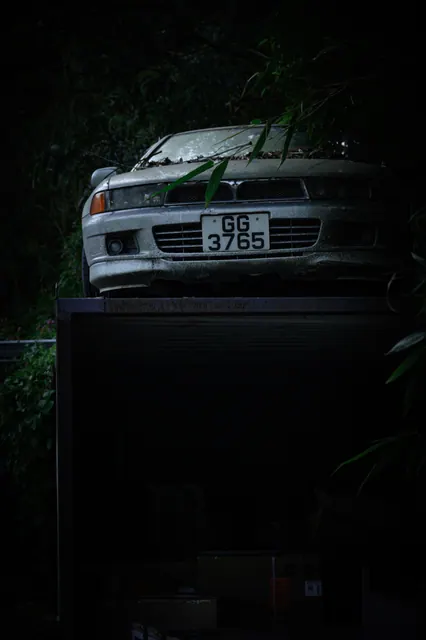 上水废弃轿车 8