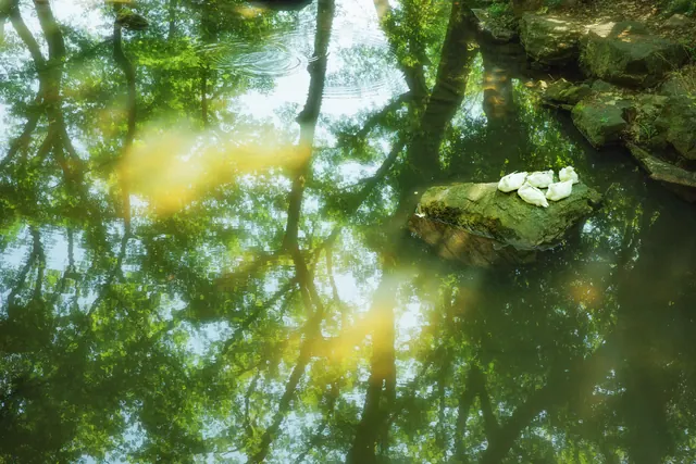 中山植物园 2
