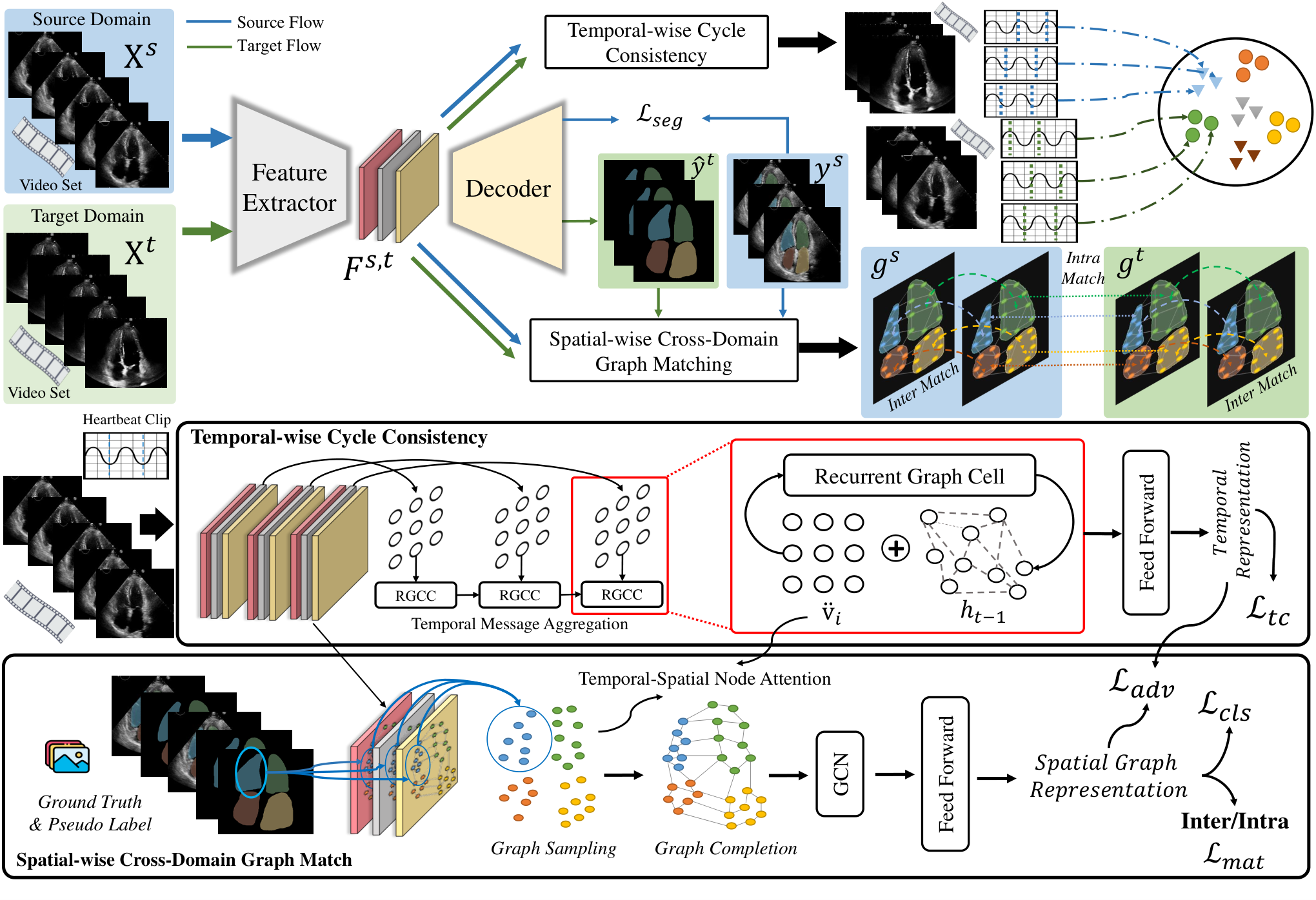 GraphEcho: Graph-Driven Unsupervised Domain Adaptation for Echocardiogram Video Segmentation